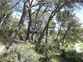 2010-08 Acrobranches 0020